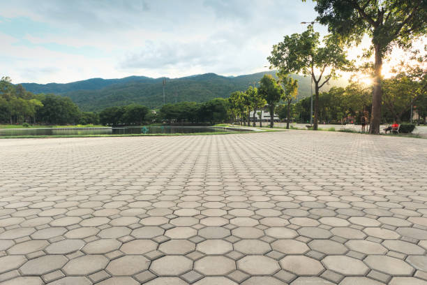 Best Best Driveway Pavers  in Windsor, NC