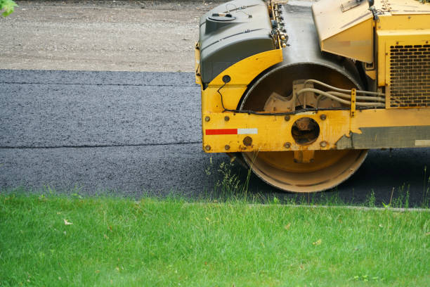 Best Residential Paver Driveway  in Windsor, NC